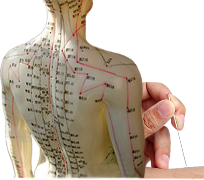 Agopuntura negli studi del dr.Vrola Agopuntura negli studi del dr.Vrola