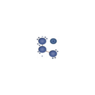 Icona dell'applicazione