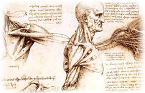 Storia della fisioterapia secondo il dr.Vrola Storia della fisioterapia secondo il dr.Vrola